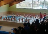 Progetto "Nuoto in cartella"