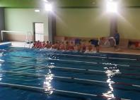 Progetto "Nuoto in cartella"