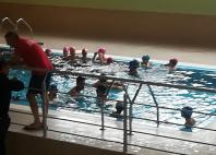 Progetto "Nuoto in cartella"